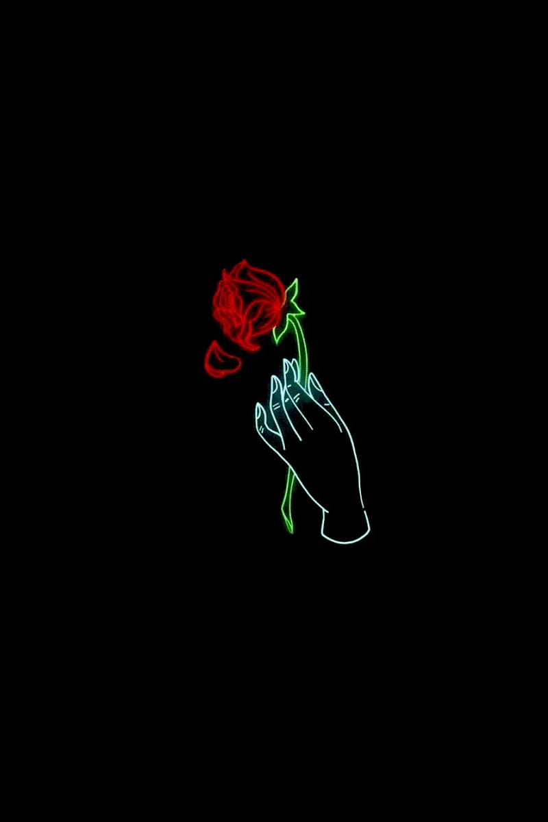 Rose 2, black, green, red, blue, hand, HD phone wallpaper
