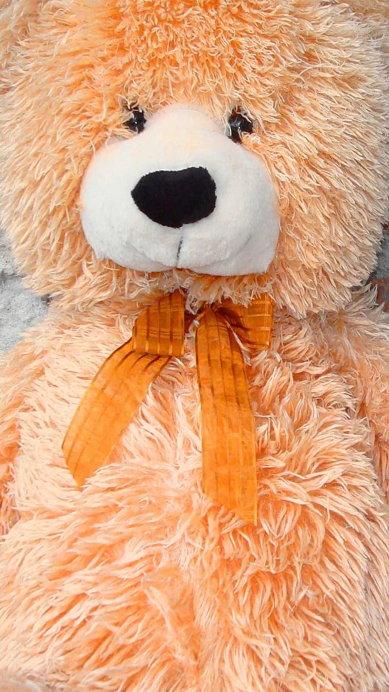 Big Teddy Bear In Orange Color, big teddy bear, orange color, stuff toy, cute, HD phone wallpaper