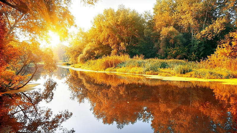 Autumn river at sunny day, Reflection, Trees, Forest, River, Colourful autumn, HD wallpaper