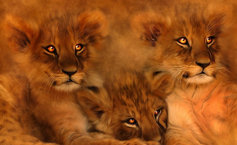 Golden Eyes, golden, cubs, eyes, cats, animals, lions, HD wallpaper