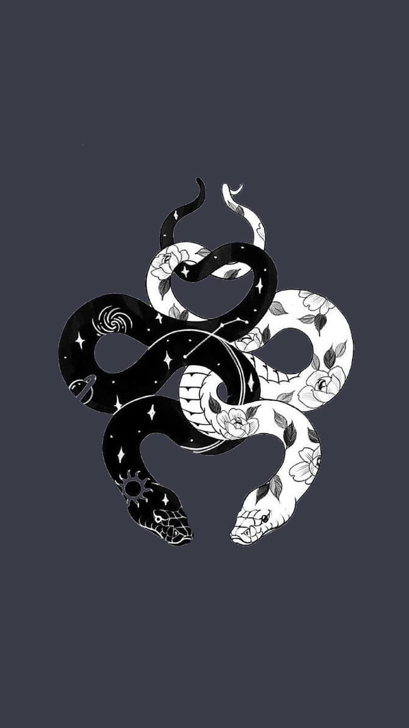 ying-yang, snakes, HD phone wallpaper