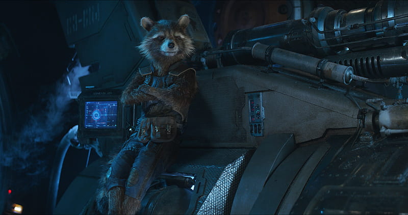 Rocket Raccoon In Avengers Infinity War, rocket-raccoon, avengers-infinity-war, 2018-movies, movies, HD wallpaper