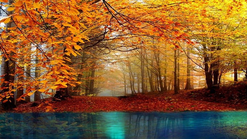 otoño río ~ * ~, otoño, otoño, colores otoñales, naturaleza, río, paisaje  otoñal, Fondo de pantalla HD | Peakpx
