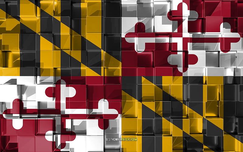 Flag of Maryland, 3d flag, US state, 3d cubes texture, Flags of American states, 3d art, Maryland, USA, 3d texture, Maryland flag, HD wallpaper