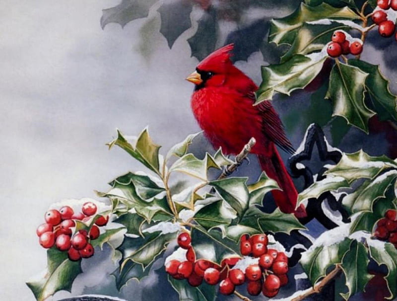 ✰Happy New Year Holy✰, red, festival, holidays, adorable, seasons, xmas, greetings, snowy branches, frosty, leaves, splendor, painting, animals, christmas, birds, new year, winter, happy, holy, snow, berries, frozen, cardinal, HD wallpaper