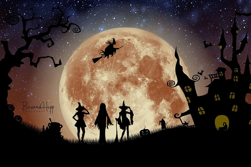 Witches Brewery, witch, night, cat, haunted house, silhouettes, pumpkins, jack-o-lantern, HD wallpaper