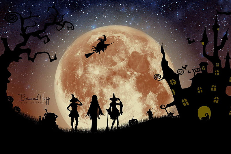 Desktop Wallpapers Witch Silhouette Pumpkin Halloween Moon 1366x768