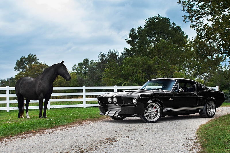 Real Horsepower, Classic, Horse, White Stripes, Ford, Black, HD wallpaper