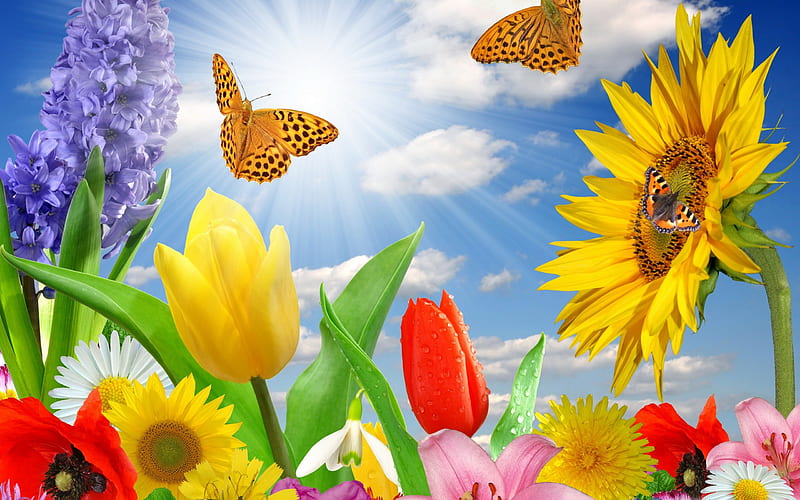 *** Spring is a joy ... ***, flowers, nature, spring, butterflies, HD wallpaper