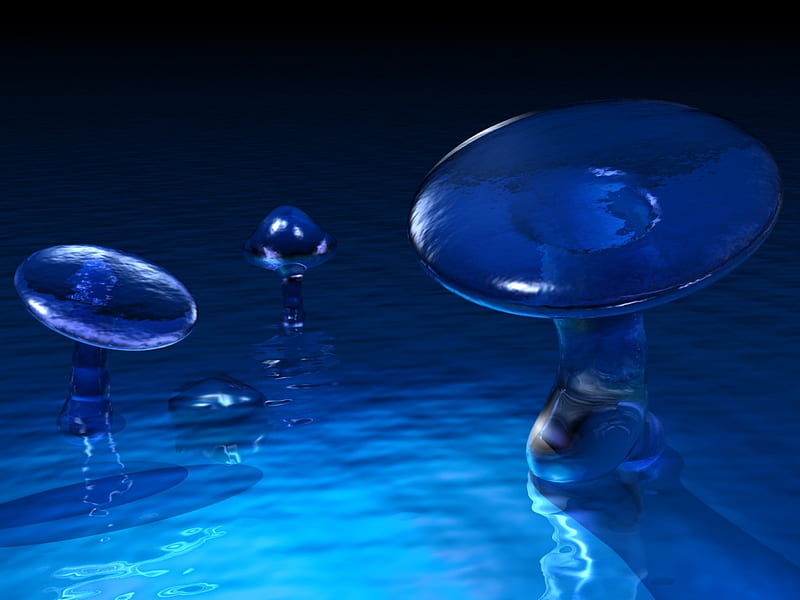 Midnight Mushroom Plasma, rising, blobs, darkness, blue, night, HD wallpaper
