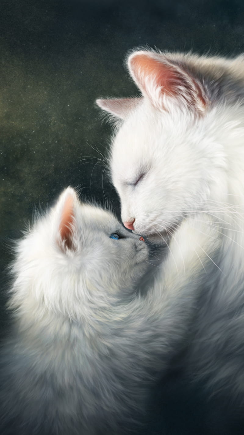 cats, animals, baby, cat, cute, family, kitten, mum, white, HD phone wallpaper