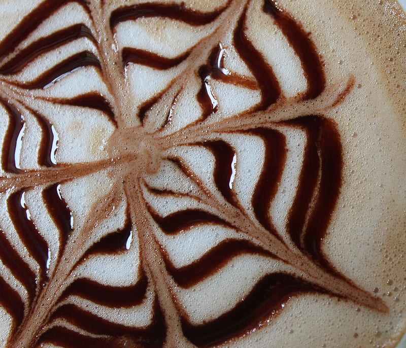 Mocha, brown, coffee, drinks, star, HD wallpaper