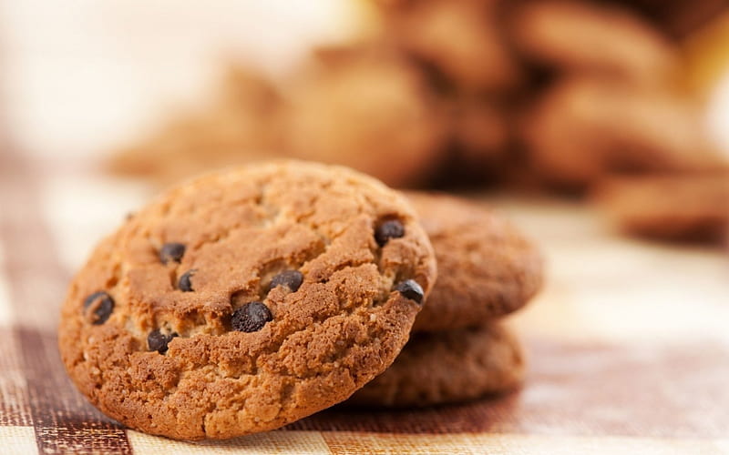 chocolate chip cookies, biscuit, cookies, chocolate, chip, HD wallpaper