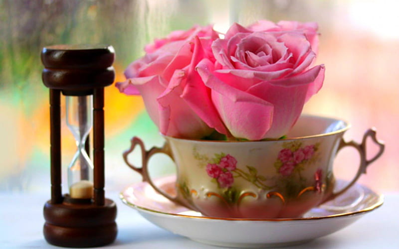 Pink roses, hourglass, flowers, cup, roses, pink, HD wallpaper