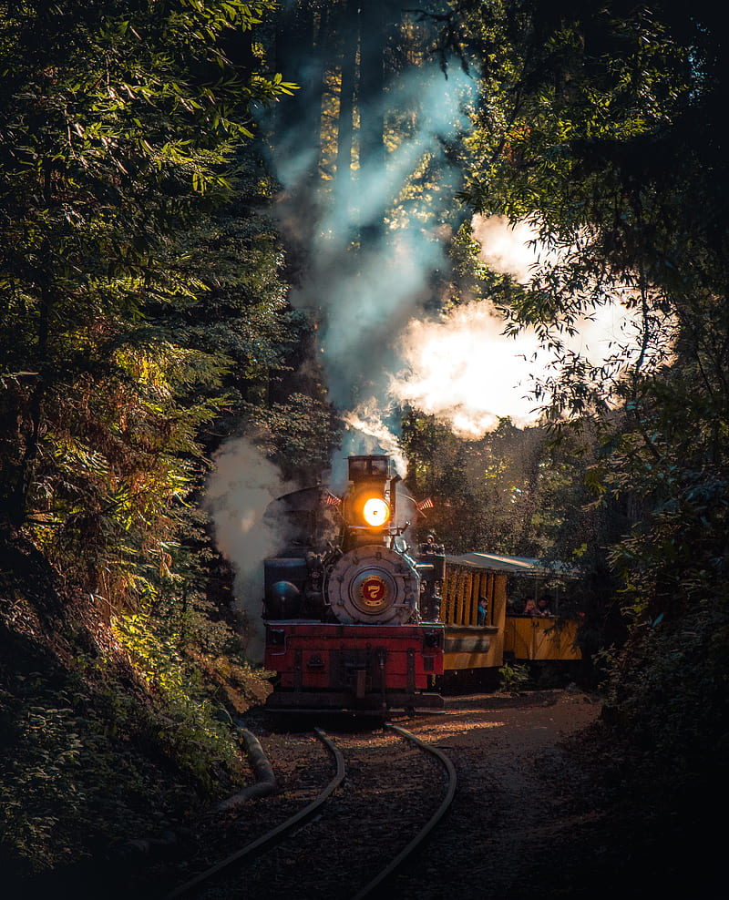 gray and red train running on rail in between trees at daytime, HD phone wallpaper