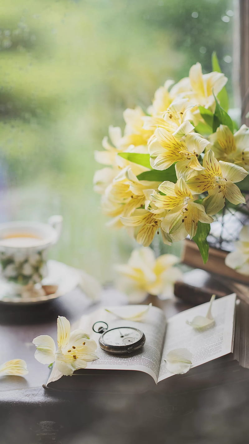 Good morning, book, flowers, tea, watch, window, yellow flowers ...