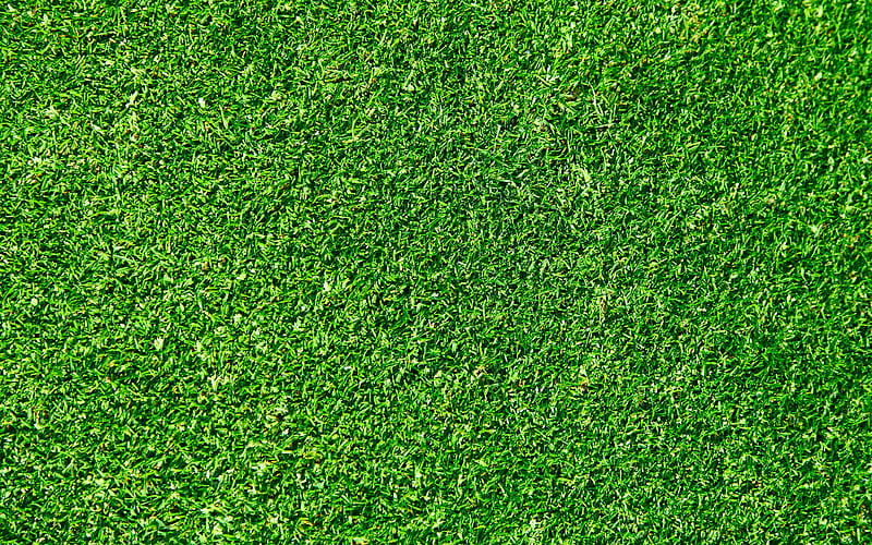 green grass texture green backgrounds, grass textures, green grass, close-up, macro, grass from top, grass backgrounds, HD wallpaper