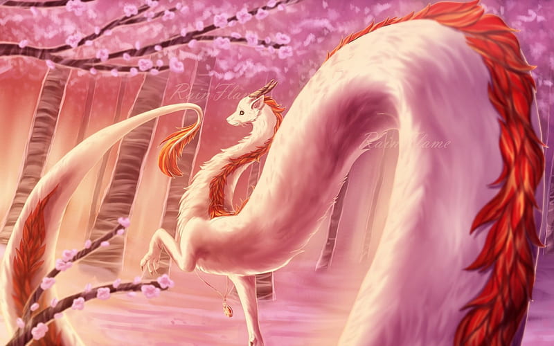 Dragon, sakura, tail, spring, cherry blossom, tree, fantasy, flower, white, pink, HD wallpaper
