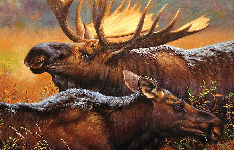 Don Juan, painting, evening, moose, antler, deer, HD wallpaper