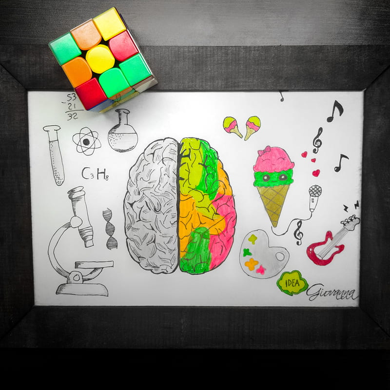 Cubo Rubik Brain, cerebro, cube, HD phone wallpaper