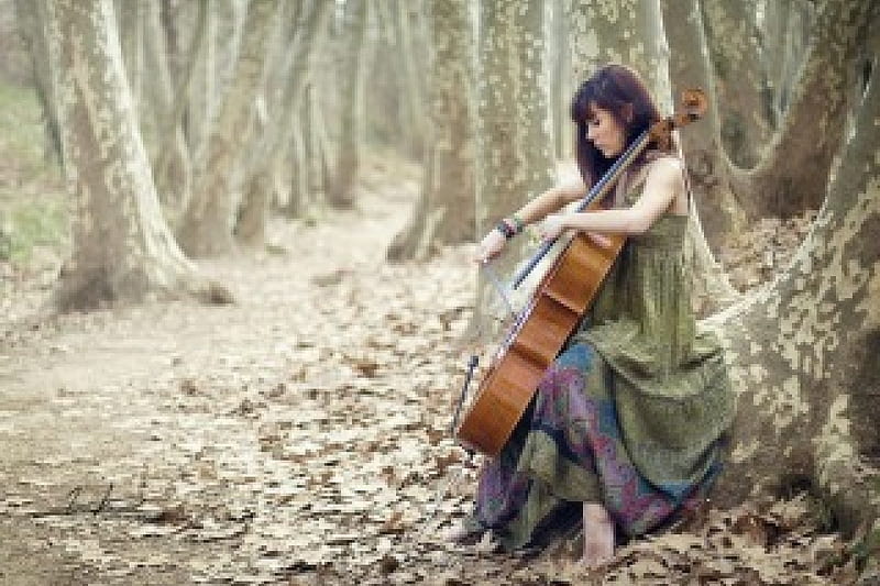Cello Girl, forest, music, trees, woman, light, HD wallpaper