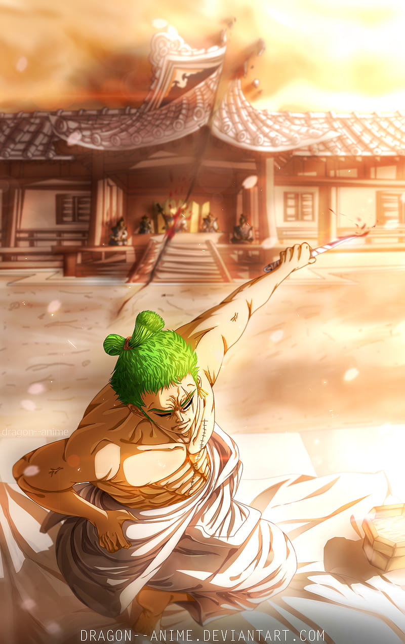 Roronoa Zoro, One Piece, anime, HD phone wallpaper