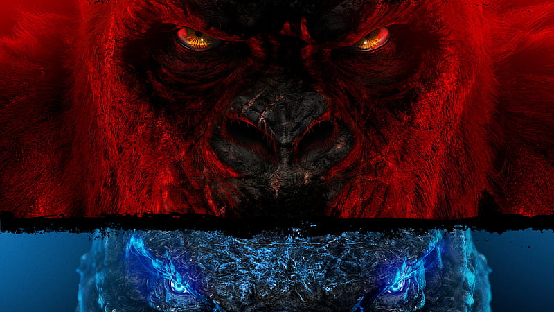 Godzilla King Kong Godzilla vs Kong, HD wallpaper