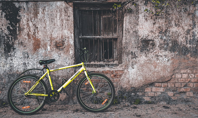 Vintage cycle, bicycle, bike, downhill, fox, mountain, graphy, specialized, trending, HD wallpaper