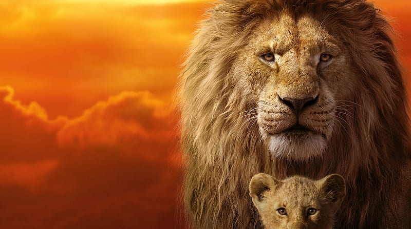 The Lion King Mufasa, Simba Ultra, Cartoons, , Lions, Movie, Film, lioncub, 2019, HD wallpaper