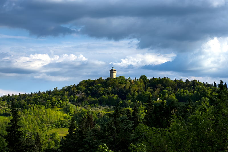 tower, building, trees, hill, nature, HD wallpaper