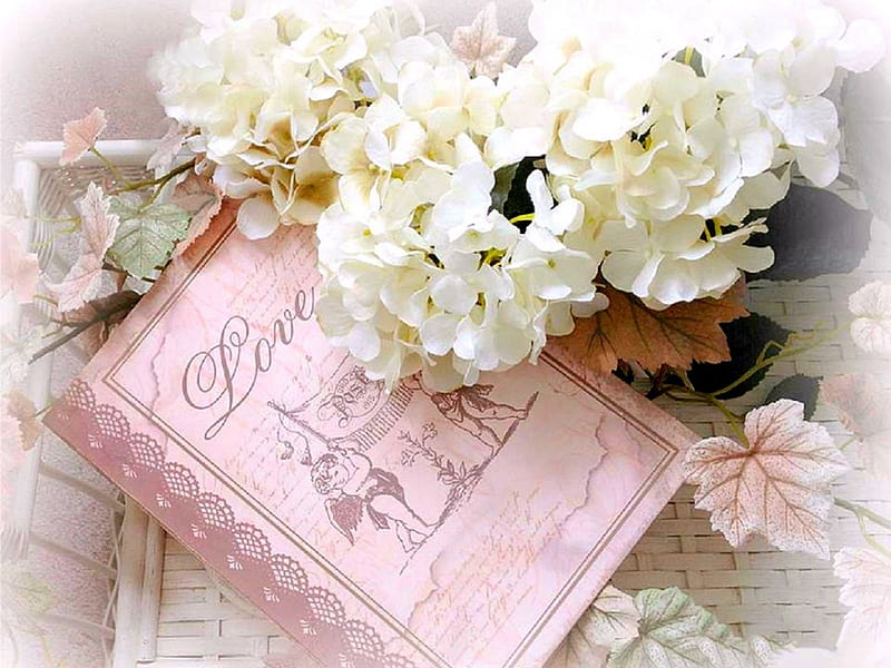 ╭╯Book of Love╭╯, pretty, lovely, romantic, colors, love four seasons, book, bonito, softness beauty, hydrangeas, sweet, love, flowers, pastel, beloved valentines, white, pink, HD wallpaper