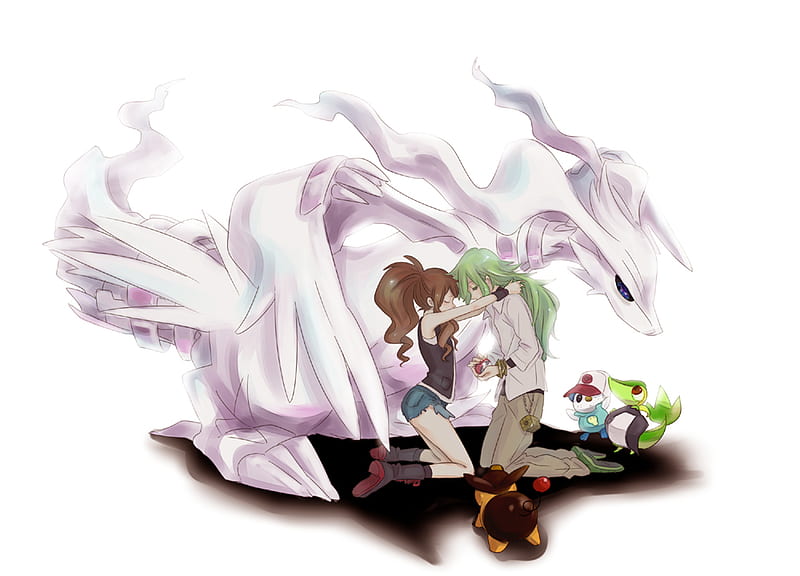 n and reshiram