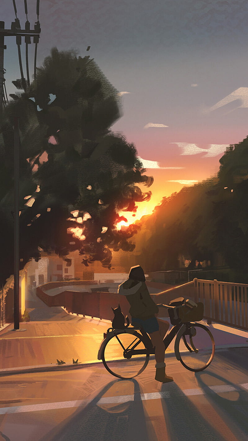 Sunset, anime, bicycle, bike, cat, city, glow, nature, sun, tree, urban, HD phone wallpaper
