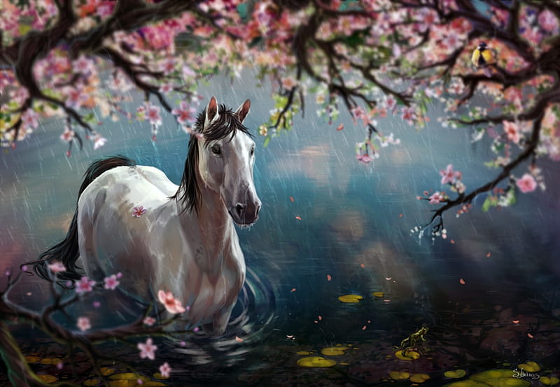 Rainy day, sakura, luminos, spring, horse, blossom, fantasy, water, flower, petals, rain, pink, blue, HD wallpaper