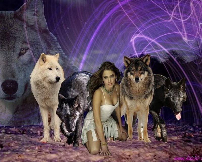Whos Afraid Of The Big Bad Wolves, wolves, girl, wild, animal, HD wallpaper  | Peakpx