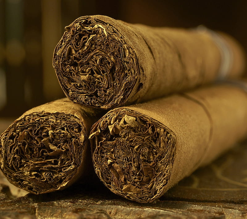 Cigar, tabacco, HD wallpaper