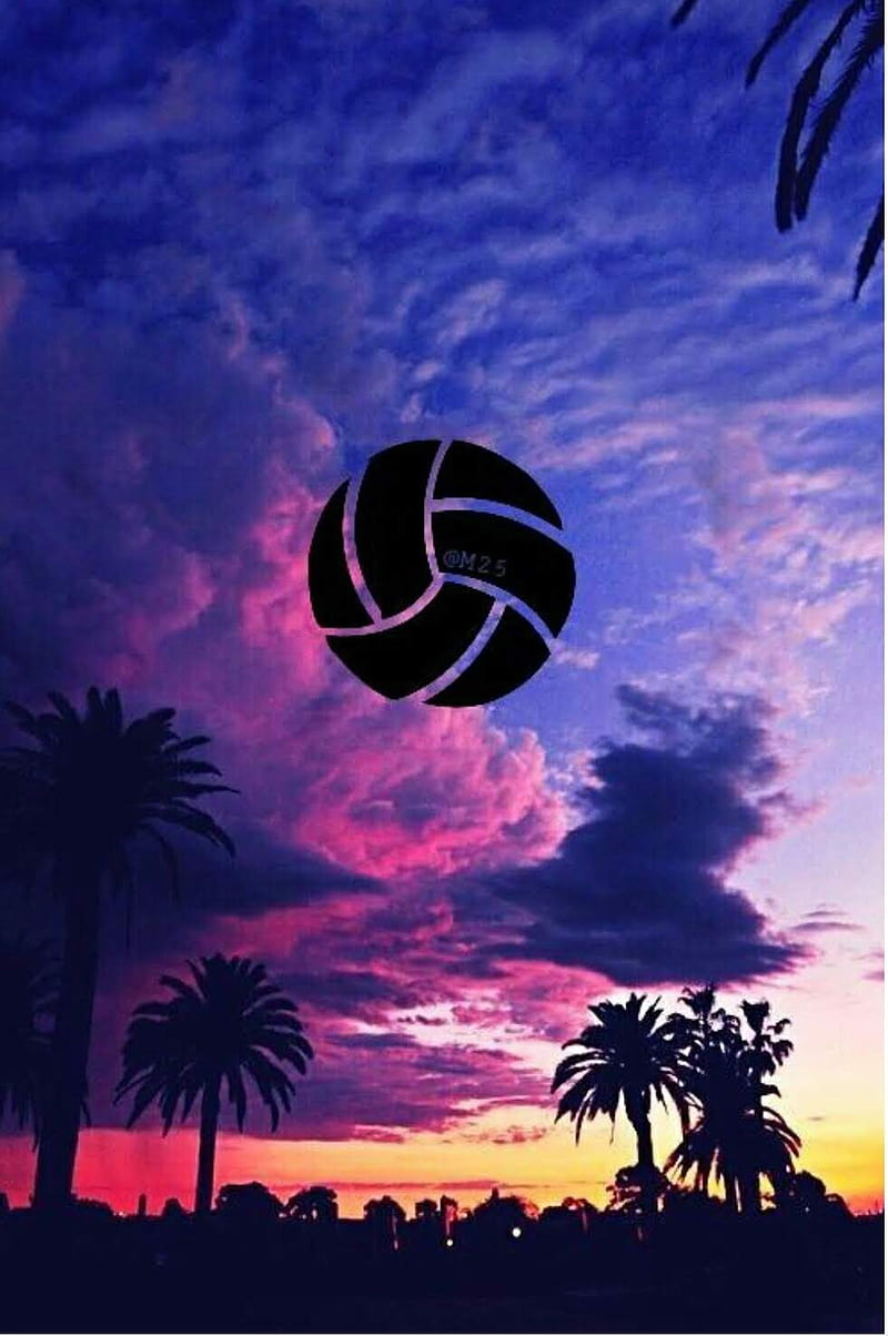 Beach volleyball , sport, HD phone wallpaper