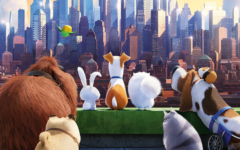 The Secrete Life of Pets Movie, the-secret-life-of-pets, movies, animated-movies, cartoons, HD wallpaper