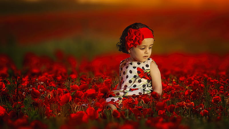 Cute Child Is Sitting Around Red Flowers Depth Of Field Cute, HD wallpaper