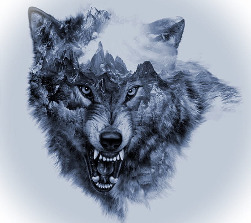 wolf drawing desktop backgrounds