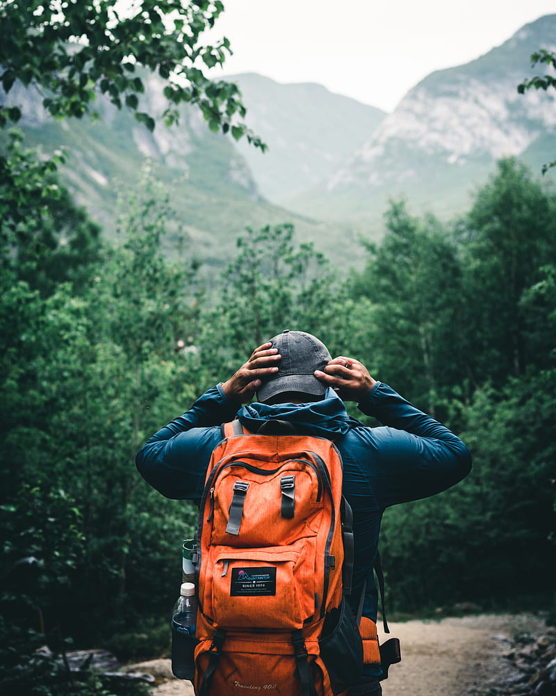 tourist, traveler, backpack, cap, forest, HD phone wallpaper