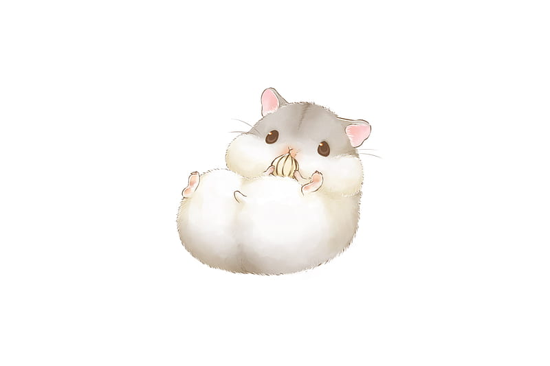 Hamster and Background, Cute Cartoon Hamster, HD wallpaper