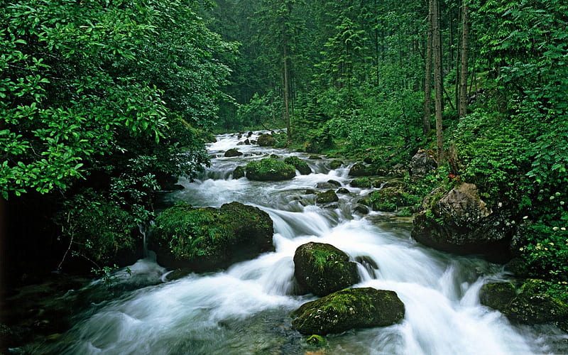 peaceful forest-rivers Landscape, HD wallpaper