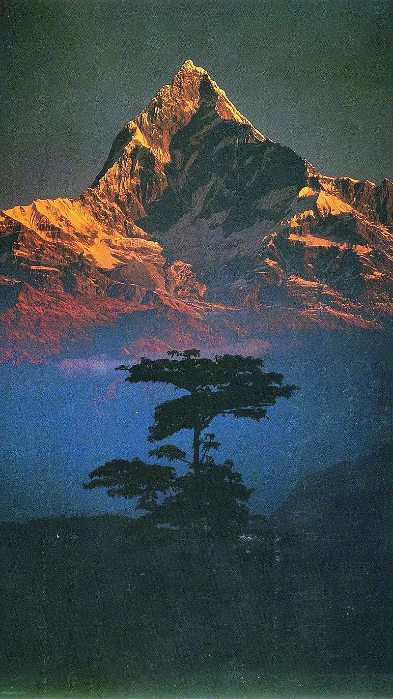 nature, landscape, mountains, trees, portrait display, filter, Nepal, snowy mountain, sunlight, annapurna, Himalayas, HD phone wallpaper