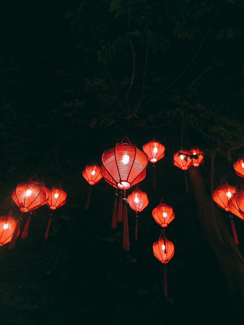 red paper lanterns on green trees, HD phone wallpaper