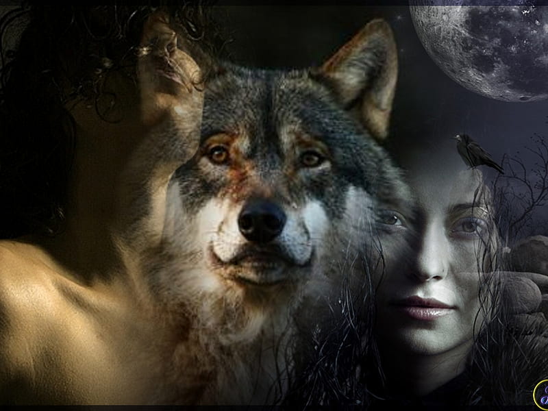 Wolf, fantasy, beauty, abstract, lady, animals, HD wallpaper | Peakpx