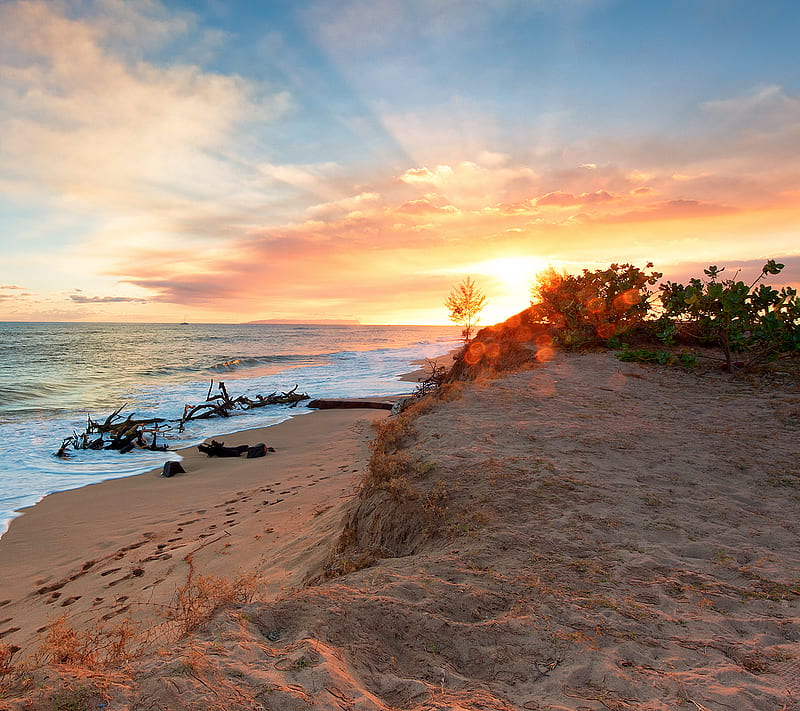 Sunshine Beach, landscape, morning, nature, sunrise, HD wallpaper