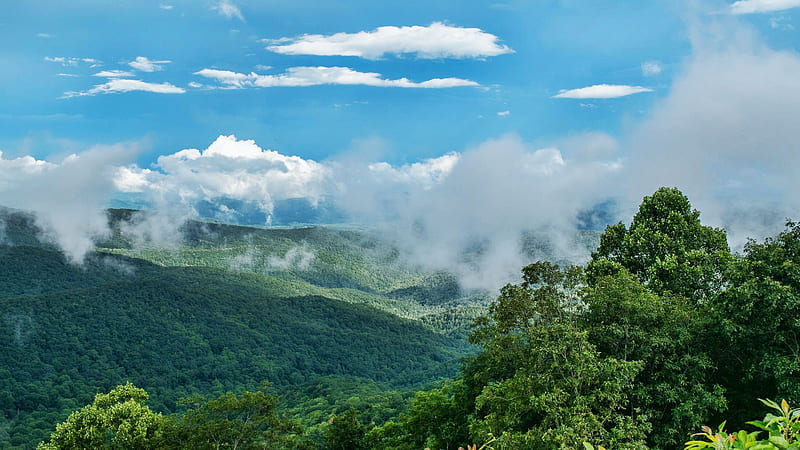 Clouds touching the Blue Ridge Mountains, North Carolina, trees, landscape, sky, usa, HD wallpaper