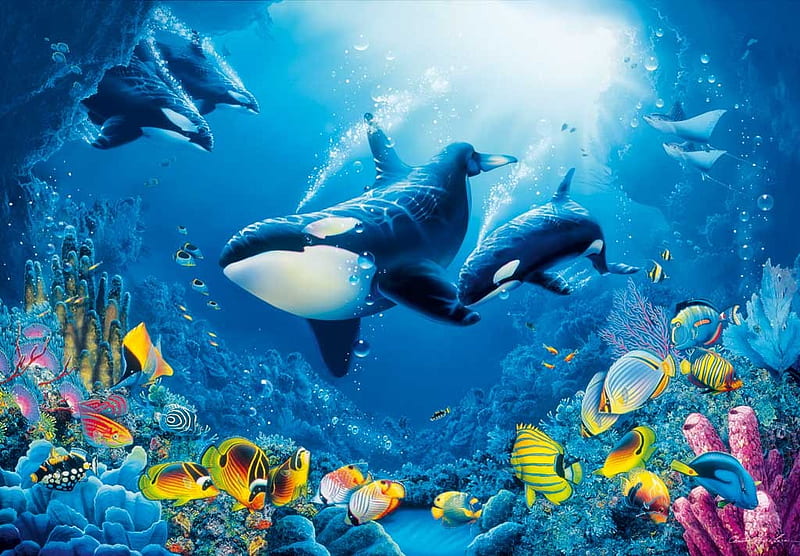 ORKA, whale, life, killer, calf, sea, HD wallpaper