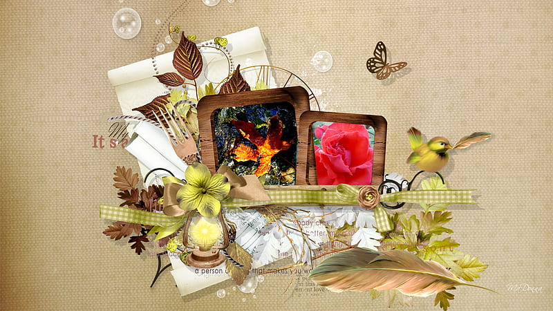 Miracle of Love fall, lamp, autumn, rose, ribbon, firefox persona, leaves, bird, feather, bubbles, flowers, paper, light, HD wallpaper